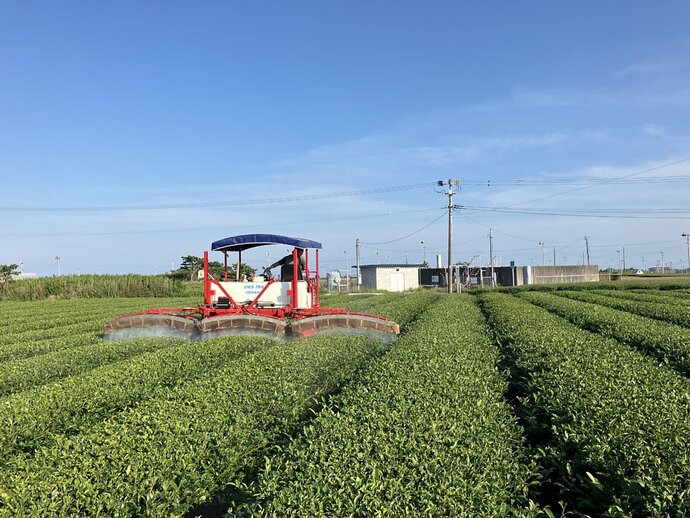 写真 一番茶摘採後の防除作業(令和6年5月21日)