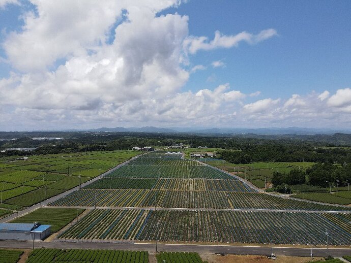 写真 静波地区の整備状況(令和4年7月17日)