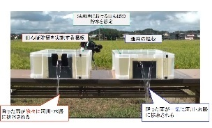 田んぼダム