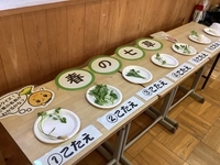 展示の様子