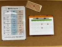 掲示物