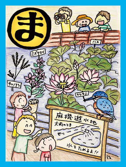 水葵(ミズアオイ)・蓮(ハス)の復活 麻機沼 満々と洪水貯める遊水地