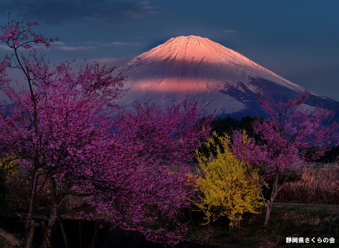 写真：最優秀賞
