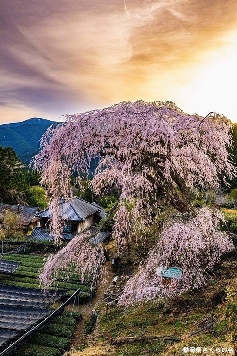 写真：インスタ入選6