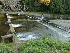 写真:那賀川の頭首工