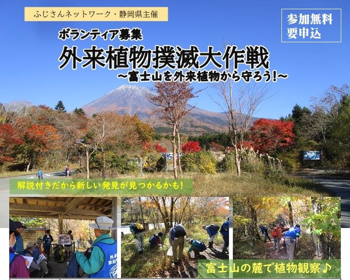 外来植物撲滅大作戦のバナー
