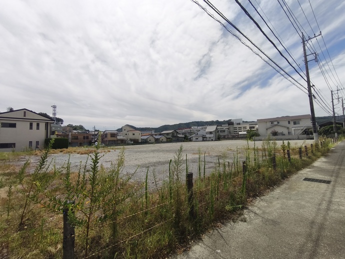 写真：伊豆の国市大仁