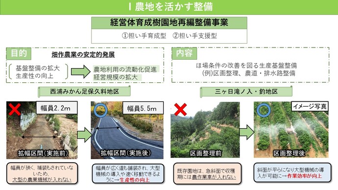 経営体育成樹園地再編整備事業（担い手育成型・担い手支援型）の説明