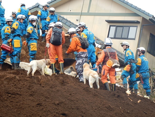 写真：災害救助犬による捜索活動