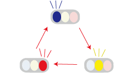 イラスト：サイクルの説明