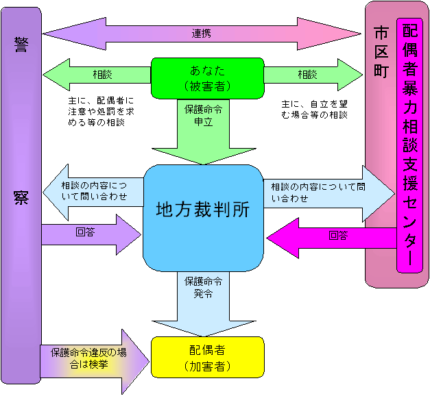 イラスト：保護命令発令の流れ