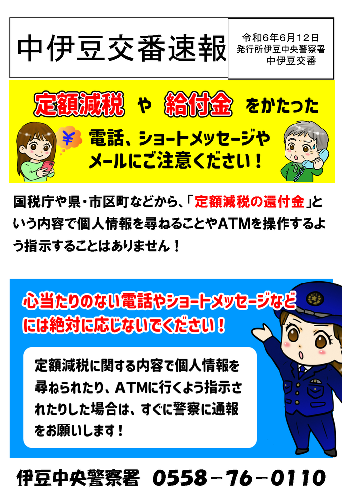 チラシの写真：中伊豆交番速報