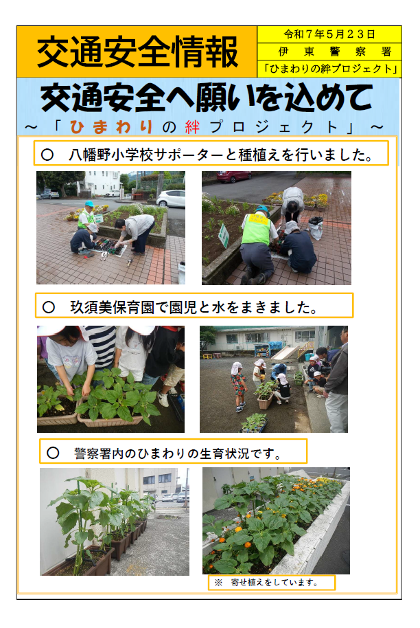 チラシ：ひまわりの絆プロジェクト（伊東警察署）