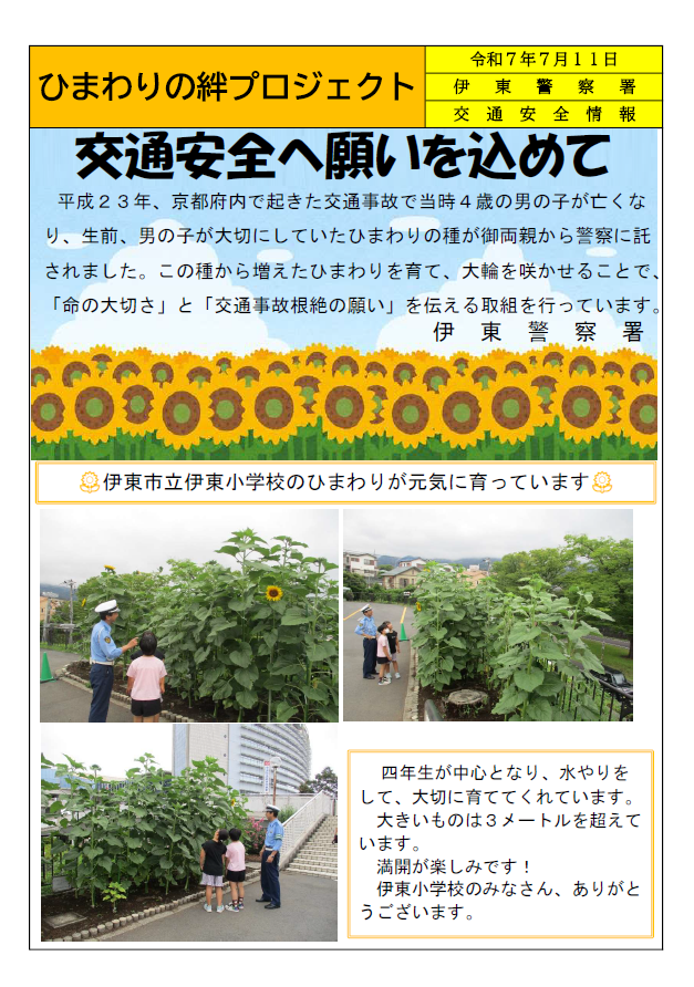 チラシ：ひまわりの絆プロジェクト（伊東警察署）