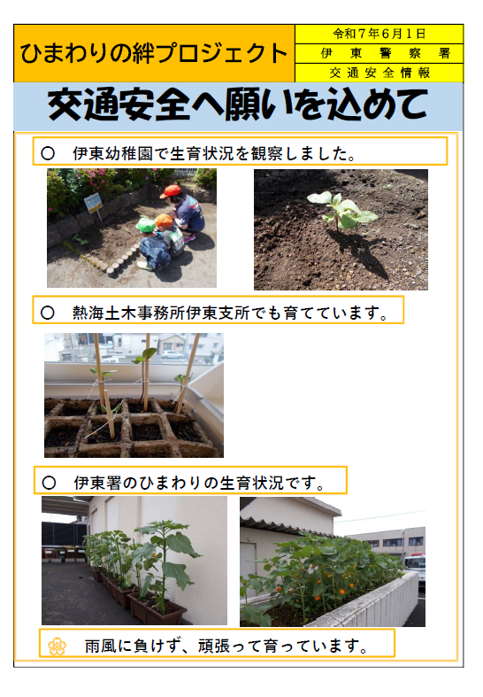 チラシ：ひまわりの絆プロジェクト（伊東警察署）