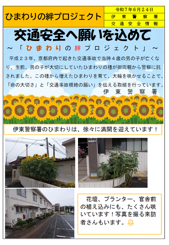 チラシ：ひまわりの絆プロジェクト（伊東警察署）