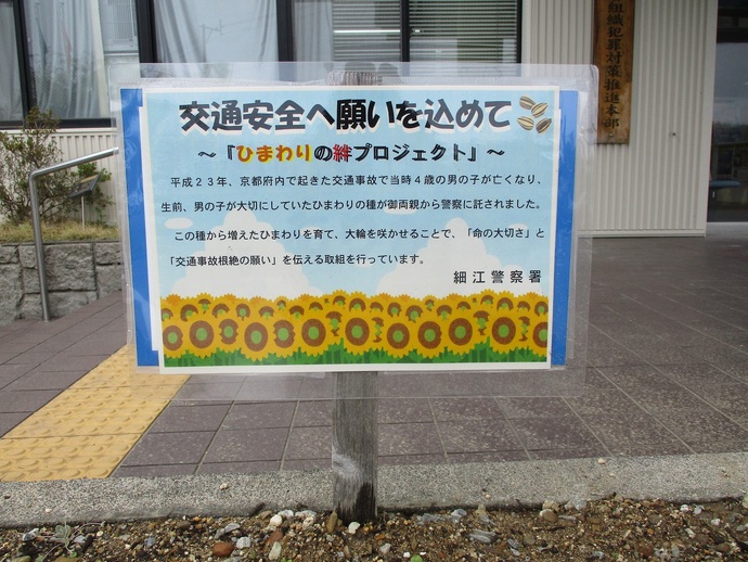 写真：ひまわりの絆プロジェクト