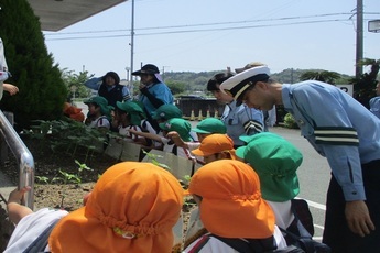 写真：ひまわりの絆プロジェクト