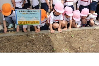 写真：ひまわりの絆プロジェクト
